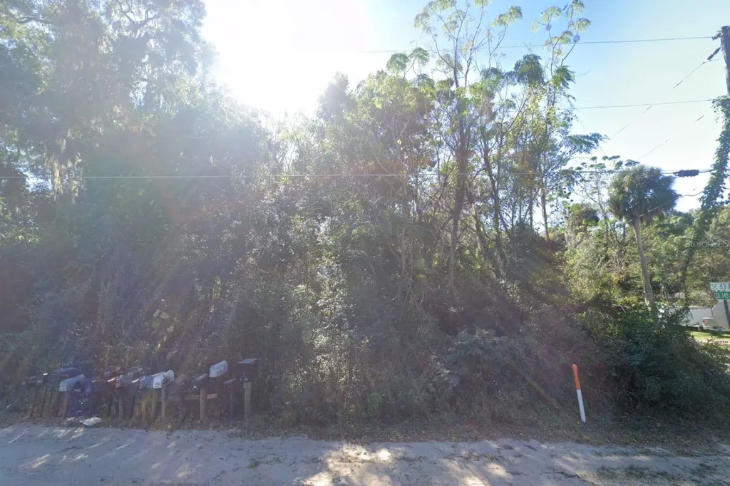SE 145th Street Summerfield FL 34491