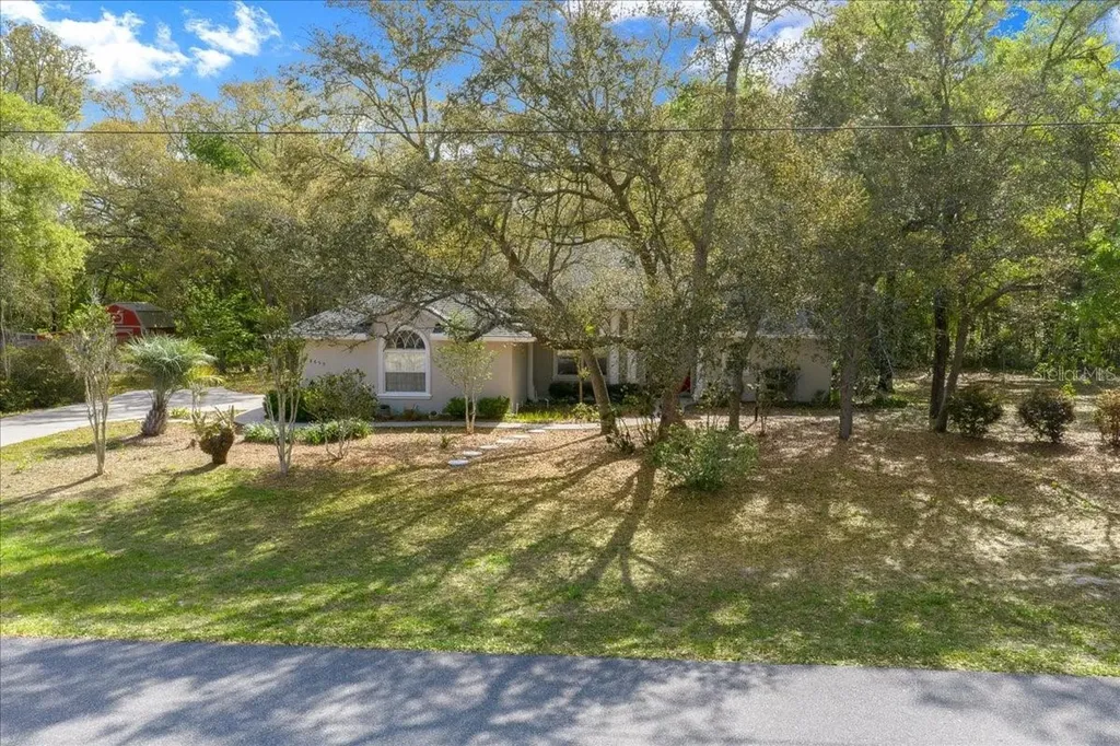 8859 N Amboy Drive Citrus Springs FL 34433