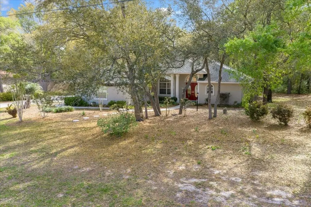 8859 N Amboy Drive Citrus Springs FL 34433