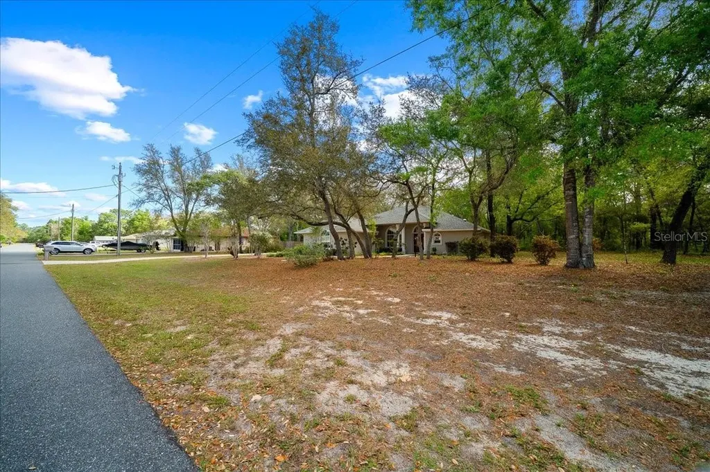 8859 N Amboy Drive Citrus Springs FL 34433
