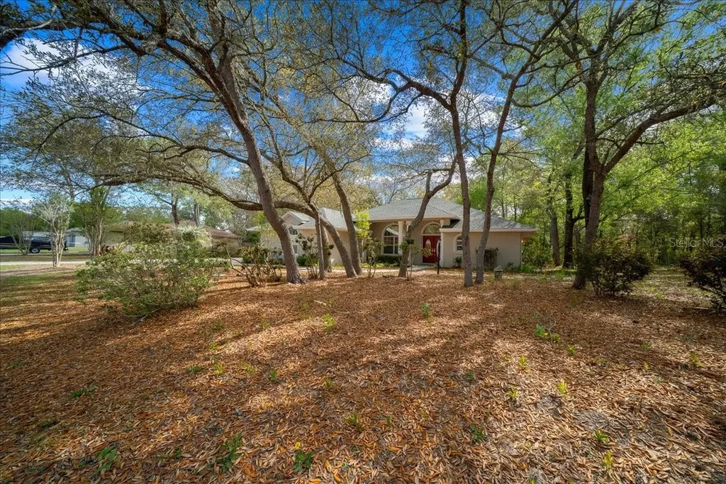 8859 N Amboy Drive Citrus Springs FL 34433