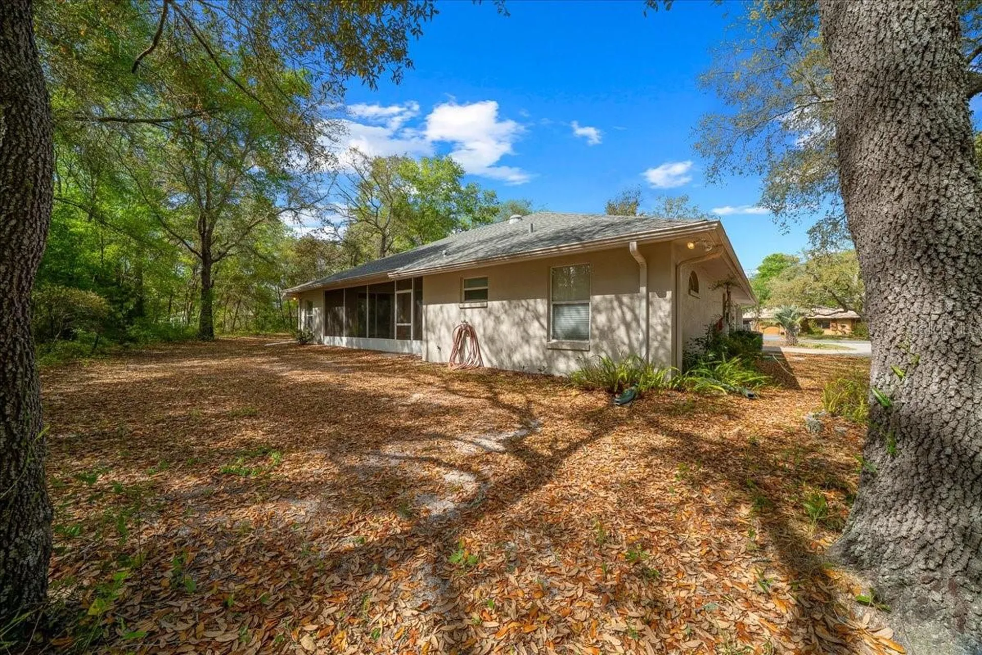 8859 N Amboy Drive Citrus Springs FL 34433