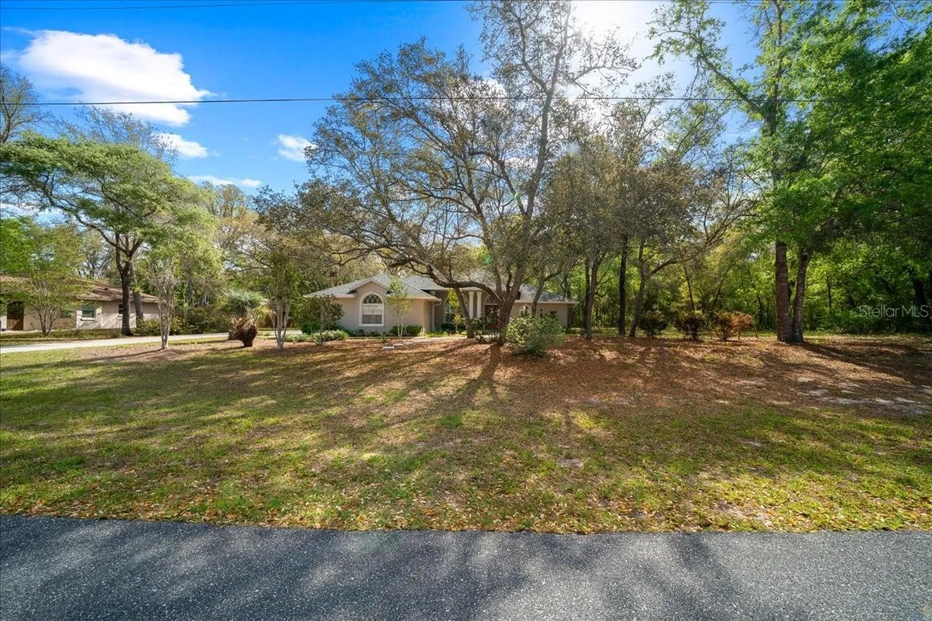 8859 N Amboy Drive Citrus Springs FL 34433