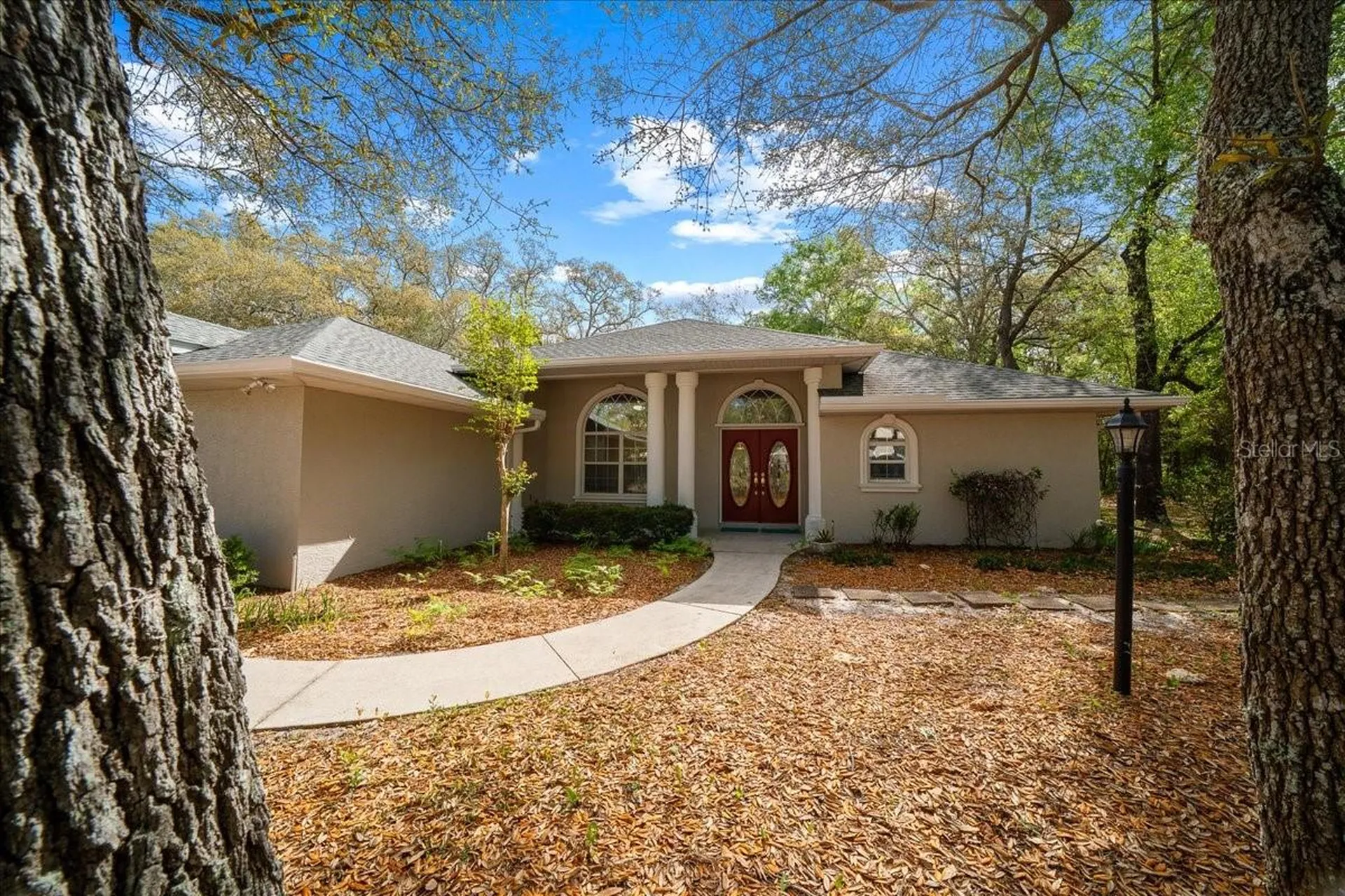 8859 N Amboy Drive Citrus Springs FL 34433