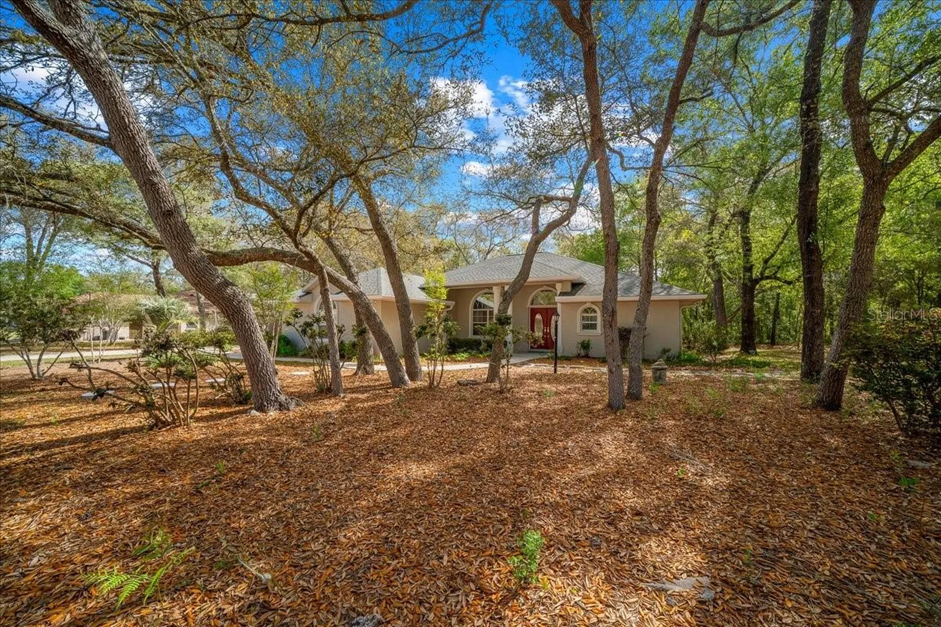 8859 N Amboy Drive Citrus Springs FL 34433
