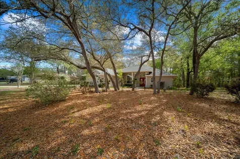 8859 N Amboy Drive Citrus Springs FL 34433