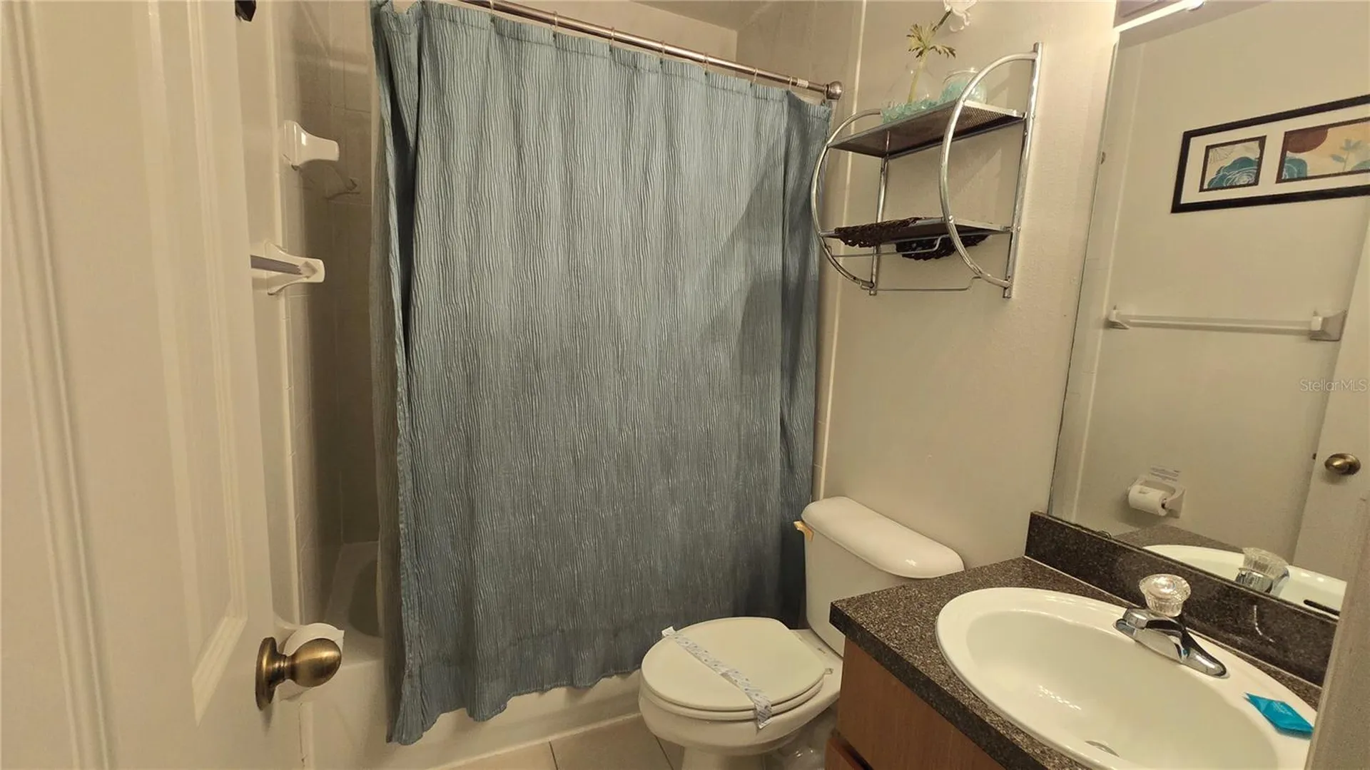 1213 South Beach Circle Kissimmee FL 34746