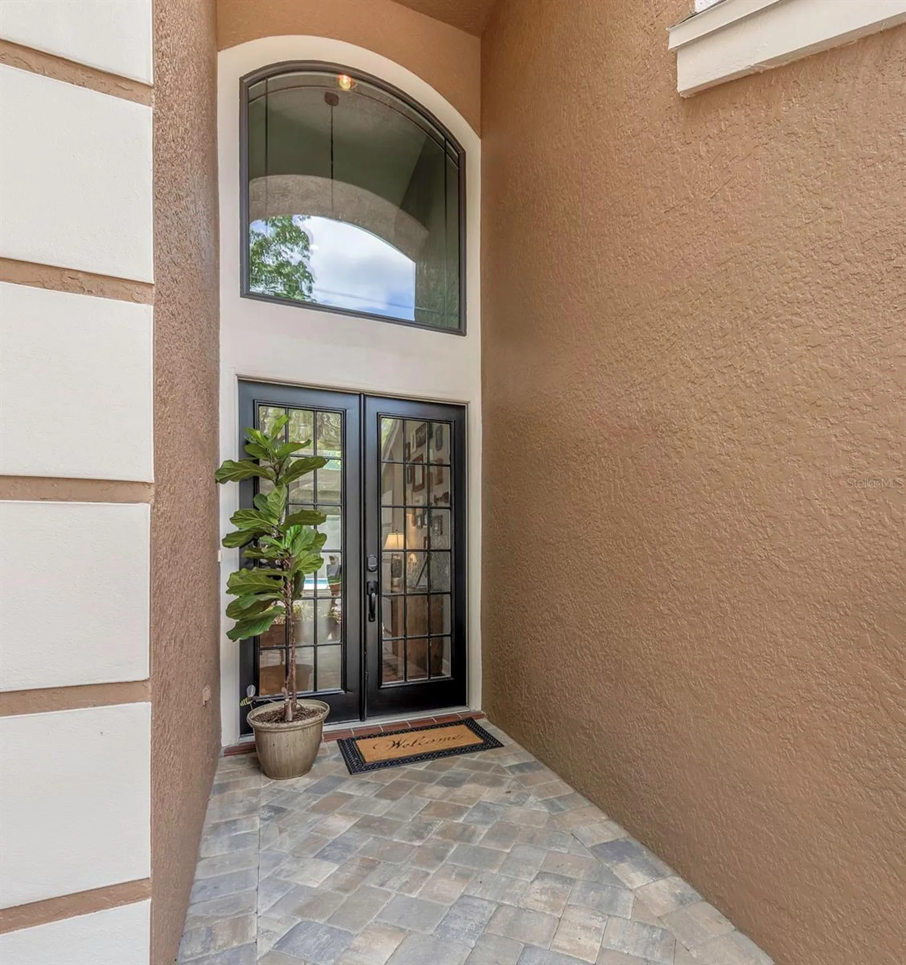 10422 Greendale Drive Tampa FL 33626