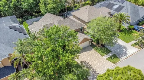 10422 Greendale Drive Tampa FL 33626