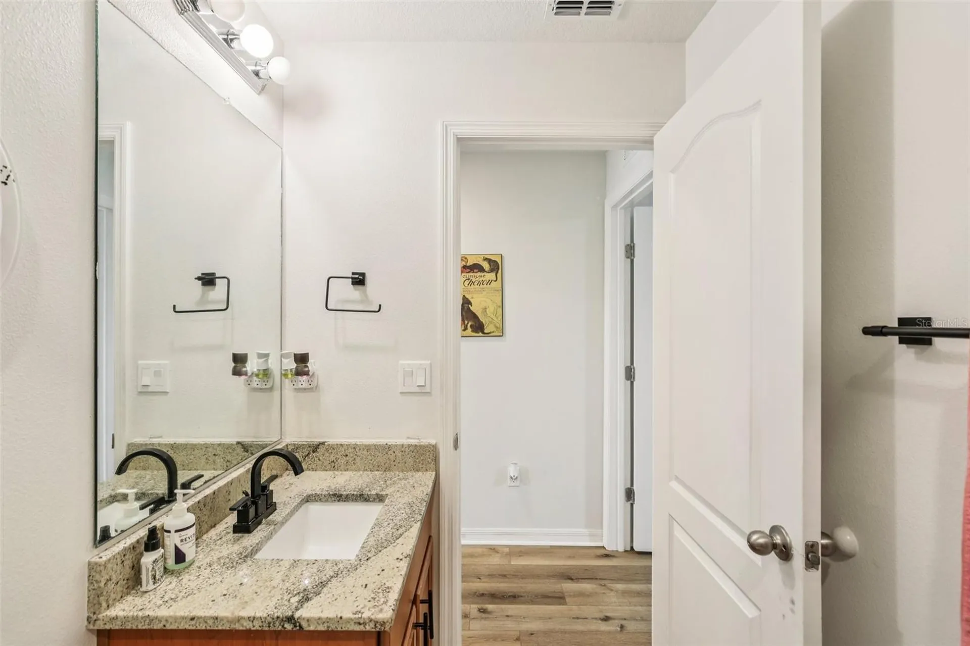636 Chatham Walk Drive Ruskin FL 33570