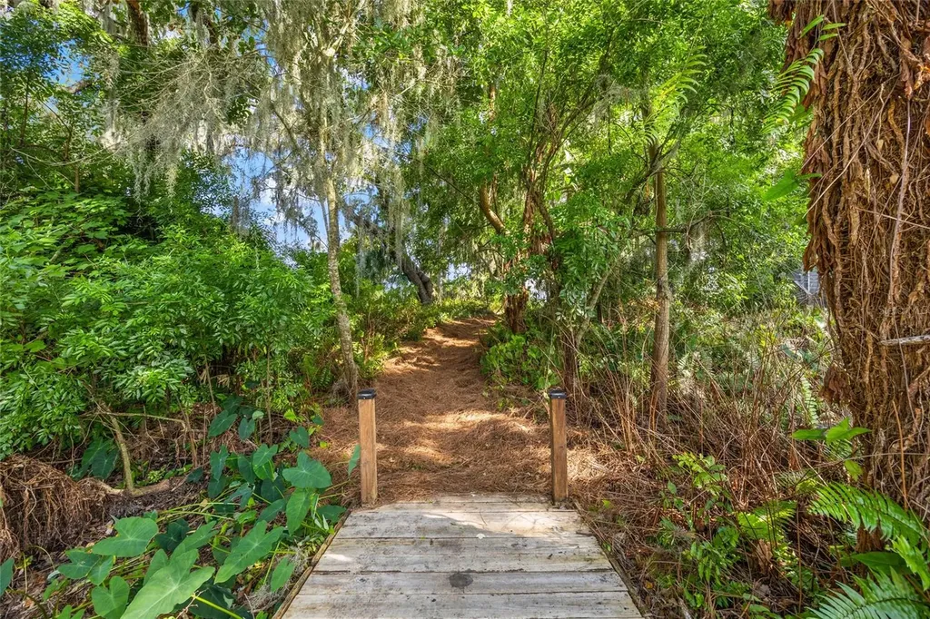 1924 Down Hollow Lane Windermere FL 34786
