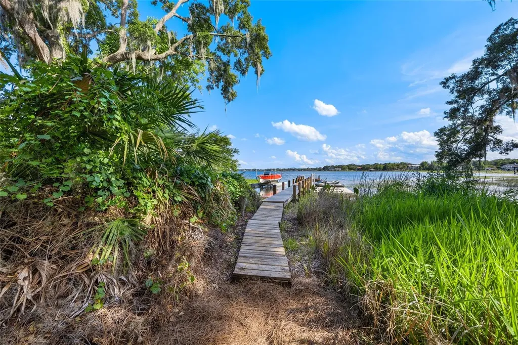 1924 Down Hollow Lane Windermere FL 34786