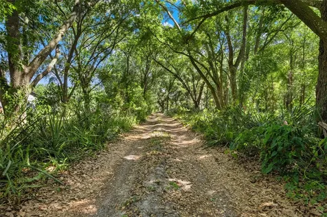 1924 Down Hollow Lane Windermere FL 34786