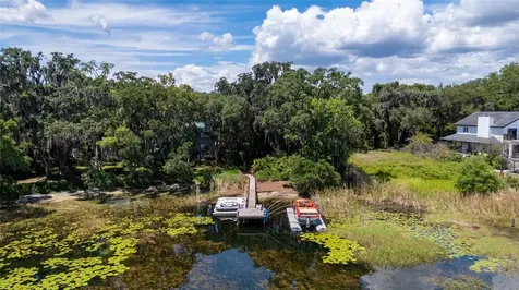 1924 Down Hollow Lane Windermere FL 34786