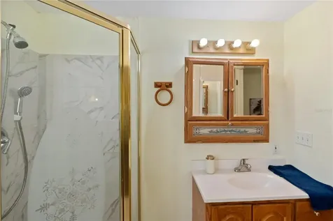 1306 Debra Drive The Villages FL 32159