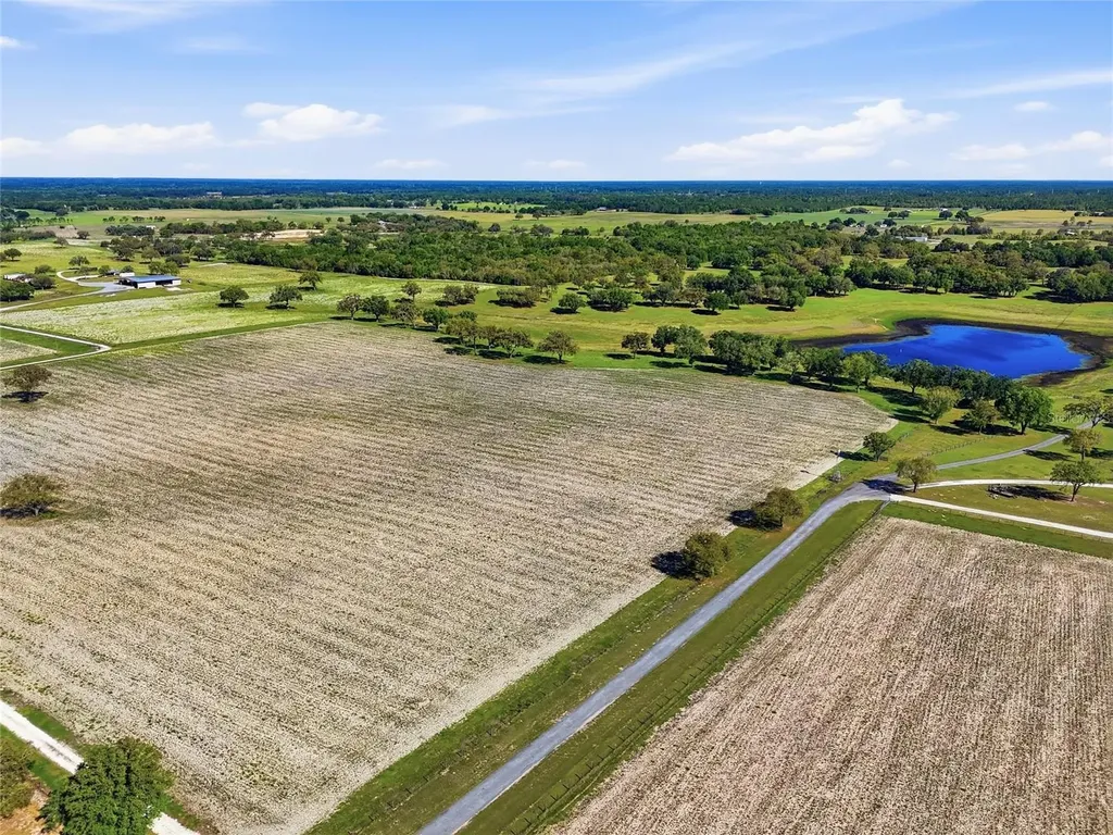 11131 NE 35th Street Bronson FL 32621