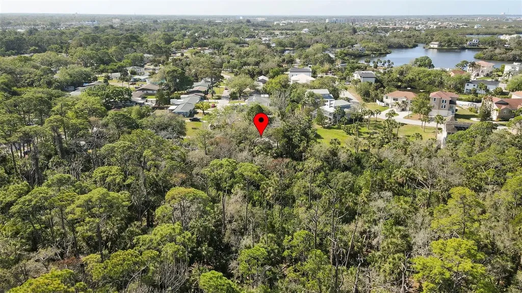 7331 Dianne Drive New Port Richey FL 34652