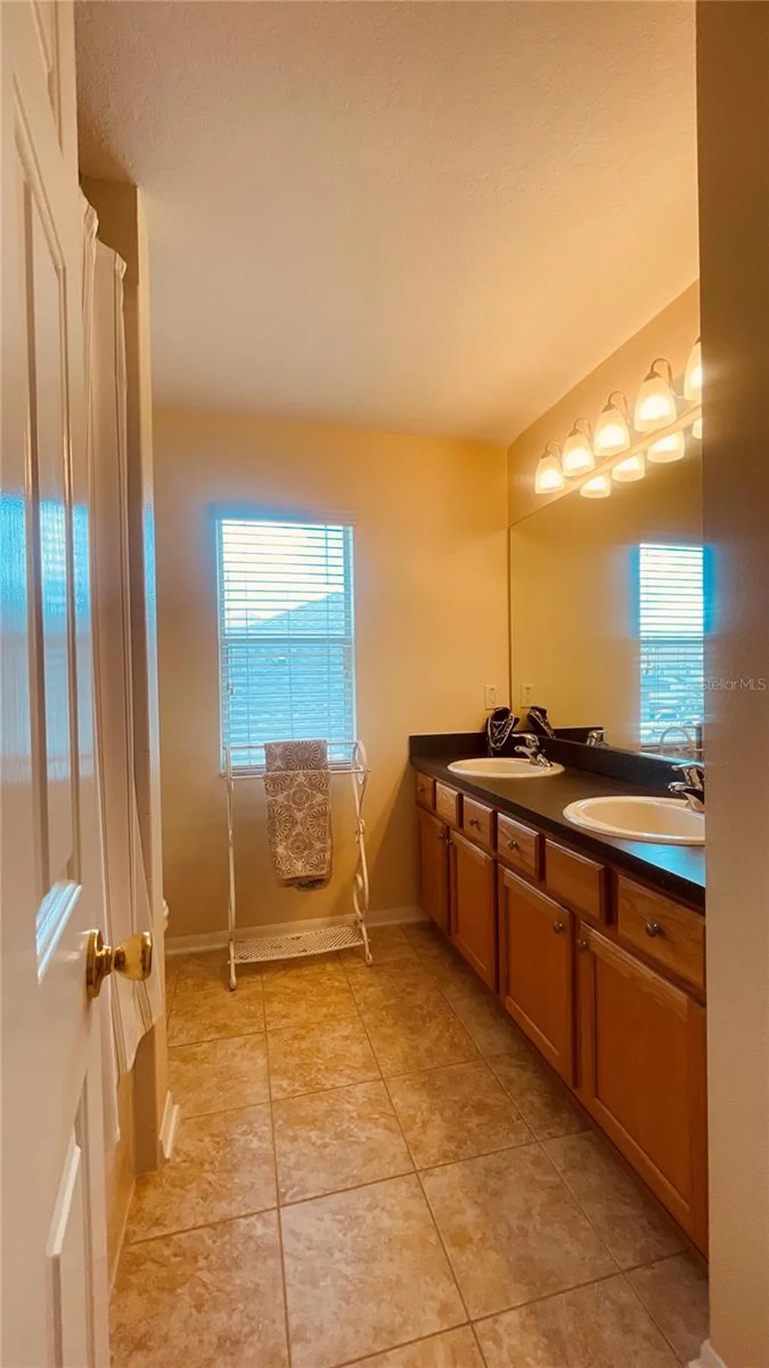 3624 Duke Firth Street Land O Lakes FL 34638