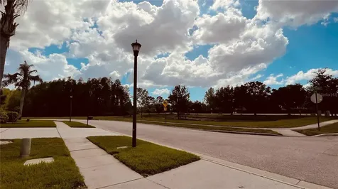 3624 Duke Firth Street Land O Lakes FL 34638