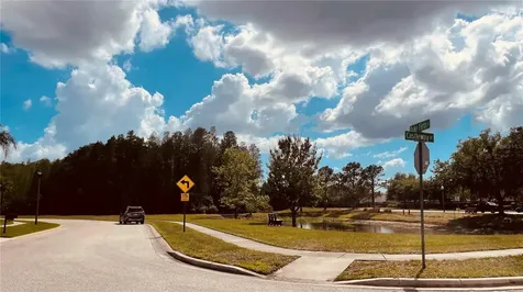 3624 Duke Firth Street Land O Lakes FL 34638