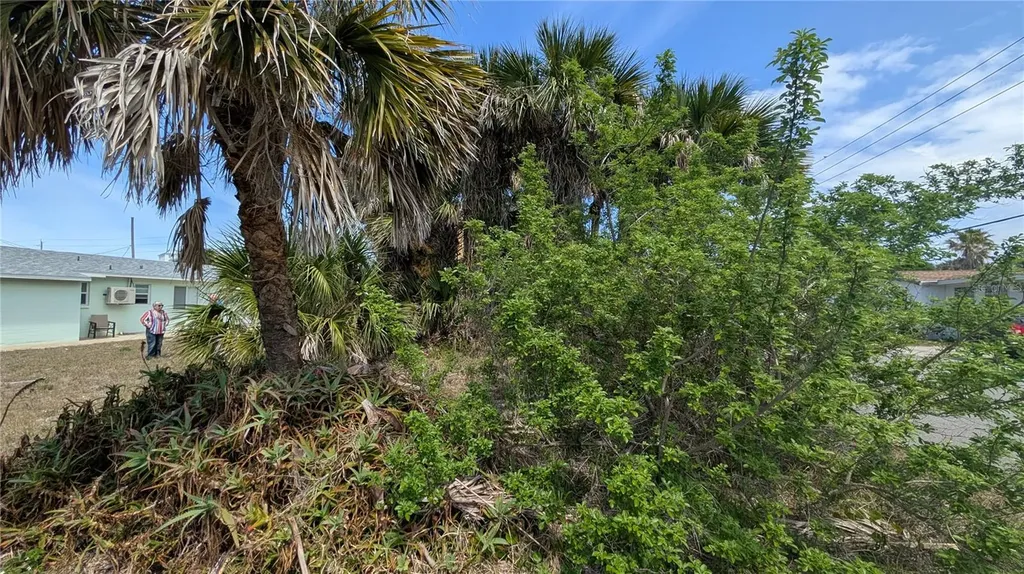 1710 S Atlantic Avenue New Smyrna Beach FL 32169