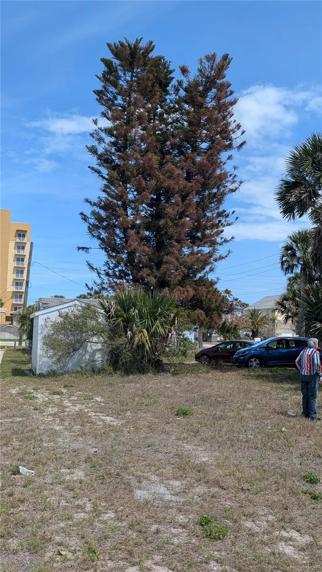 1710 S Atlantic Avenue New Smyrna Beach FL 32169