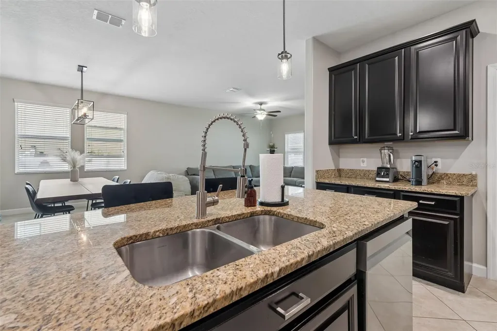 19157 Andrea Lynn Lane Land O Lakes FL 34638