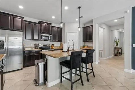 19157 Andrea Lynn Lane Land O Lakes FL 34638