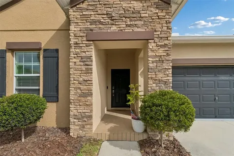19157 Andrea Lynn Lane Land O Lakes FL 34638