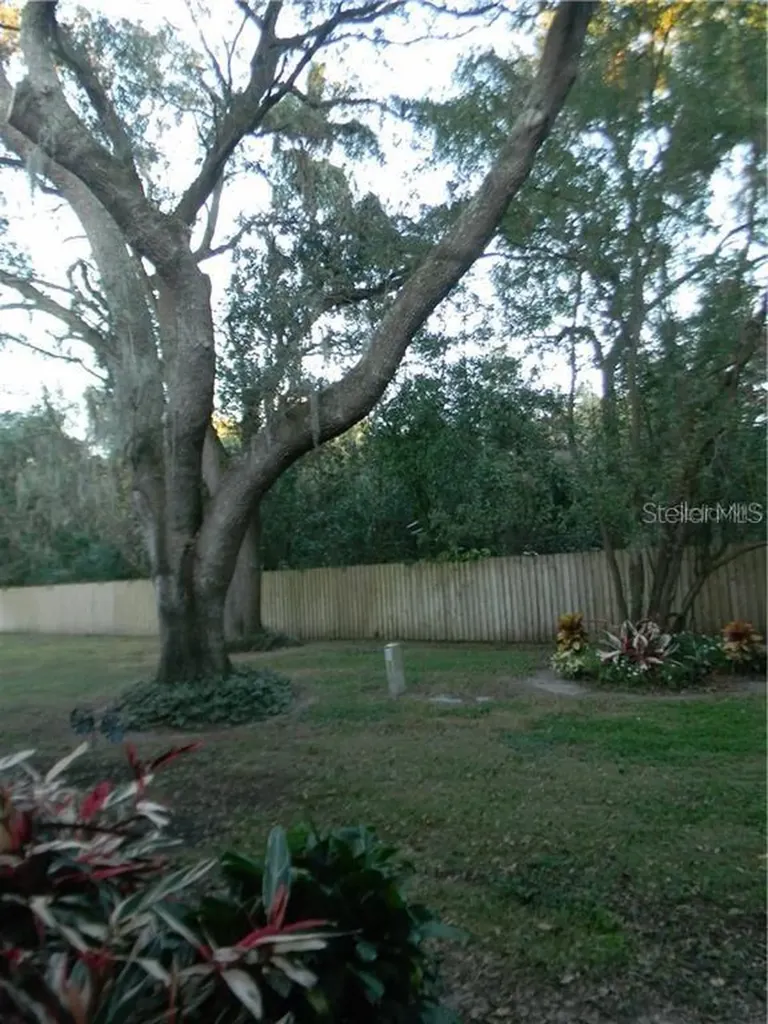 2122 Golden Oak Lane Valrico FL 33594
