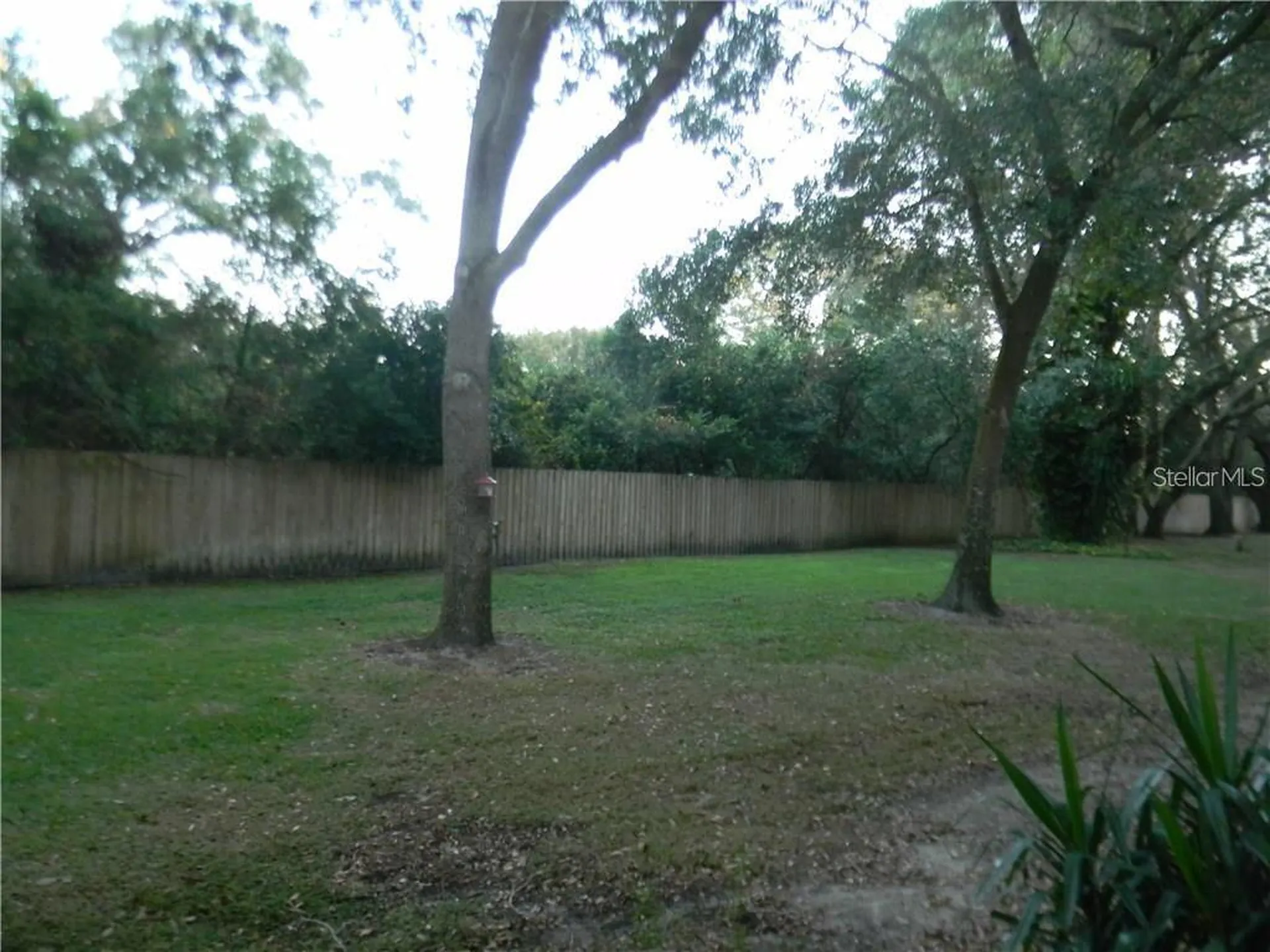 2122 Golden Oak Lane Valrico FL 33594