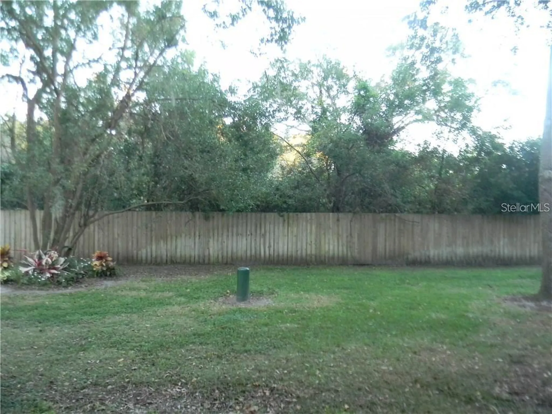 2122 Golden Oak Lane Valrico FL 33594
