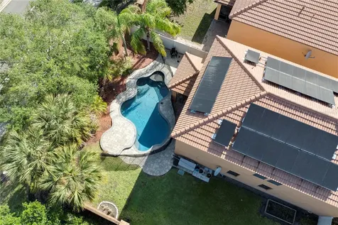 1772 Leather Fern Drive Ocoee FL 34761