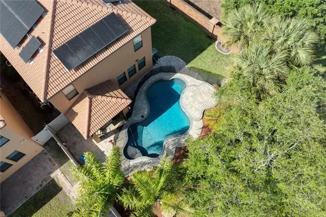 1772 Leather Fern Drive Ocoee FL 34761