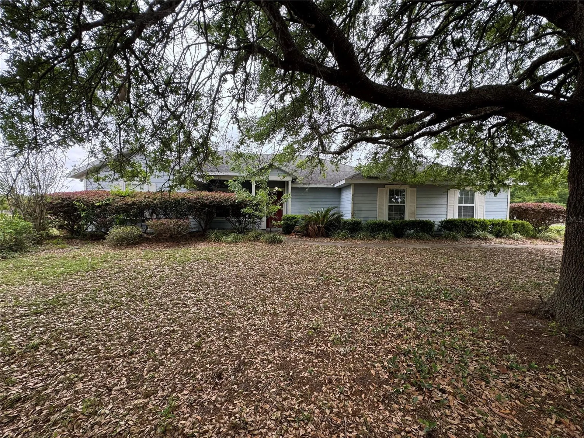 9590 SW 98th Avenue Gainesville FL 32608