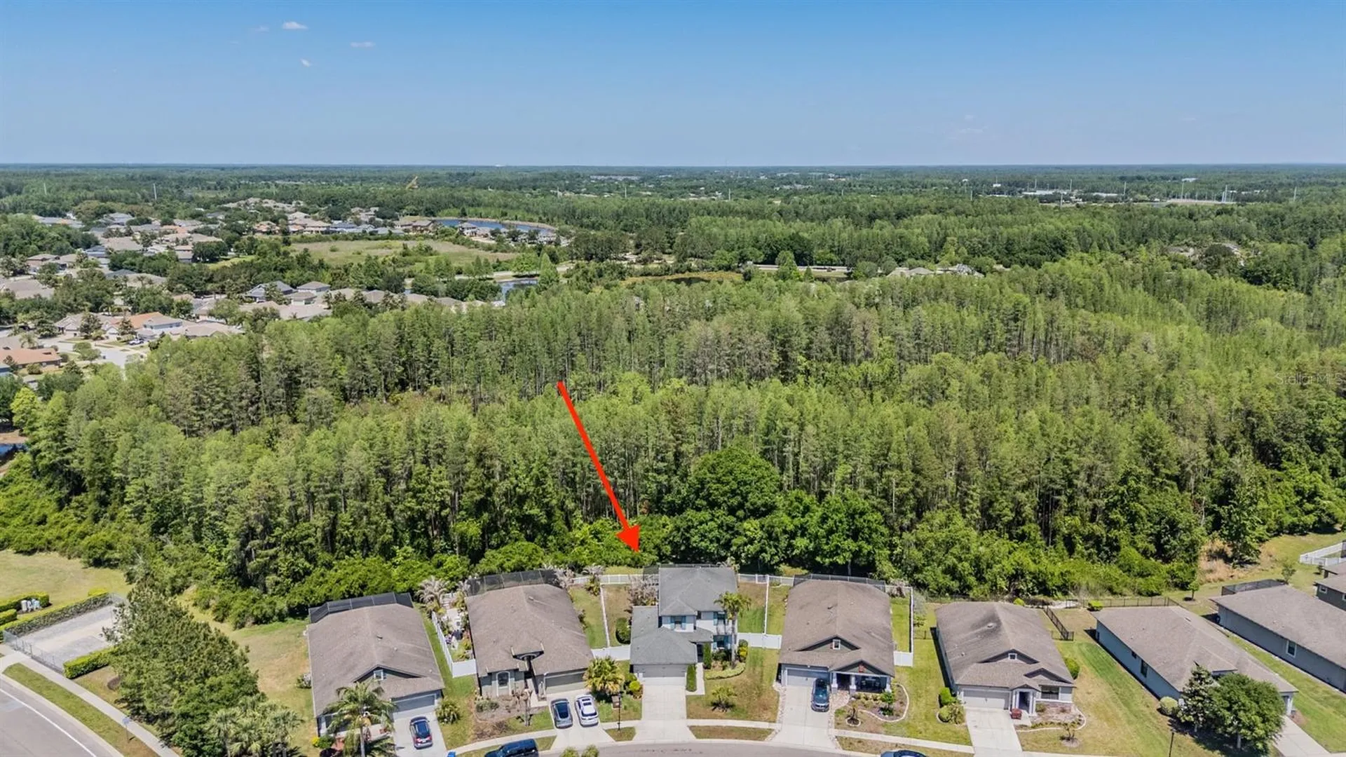 19545 Post Island Loop Land O Lakes FL 34638