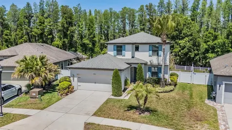 19545 Post Island Loop Land O Lakes FL 34638