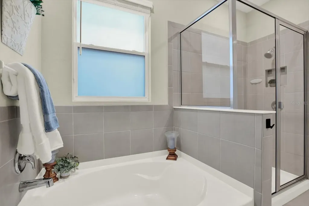 10186 Shoreline View Way Wesley Chapel FL 33545