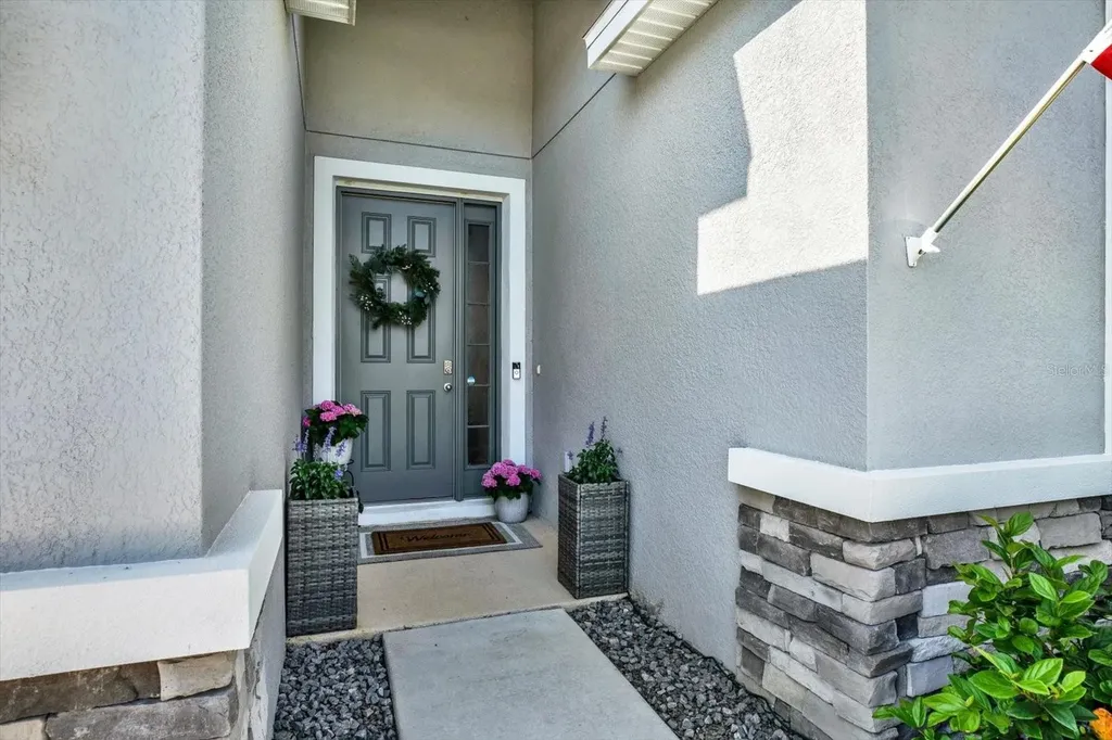 10186 Shoreline View Way Wesley Chapel FL 33545