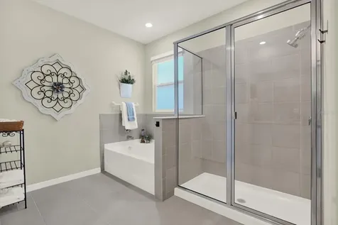10186 Shoreline View Way Wesley Chapel FL 33545