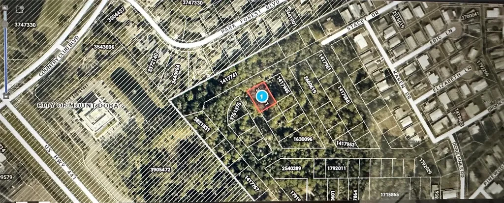 Lots 77 & 78 Park Forest Boulevard Mount Dora FL 32757