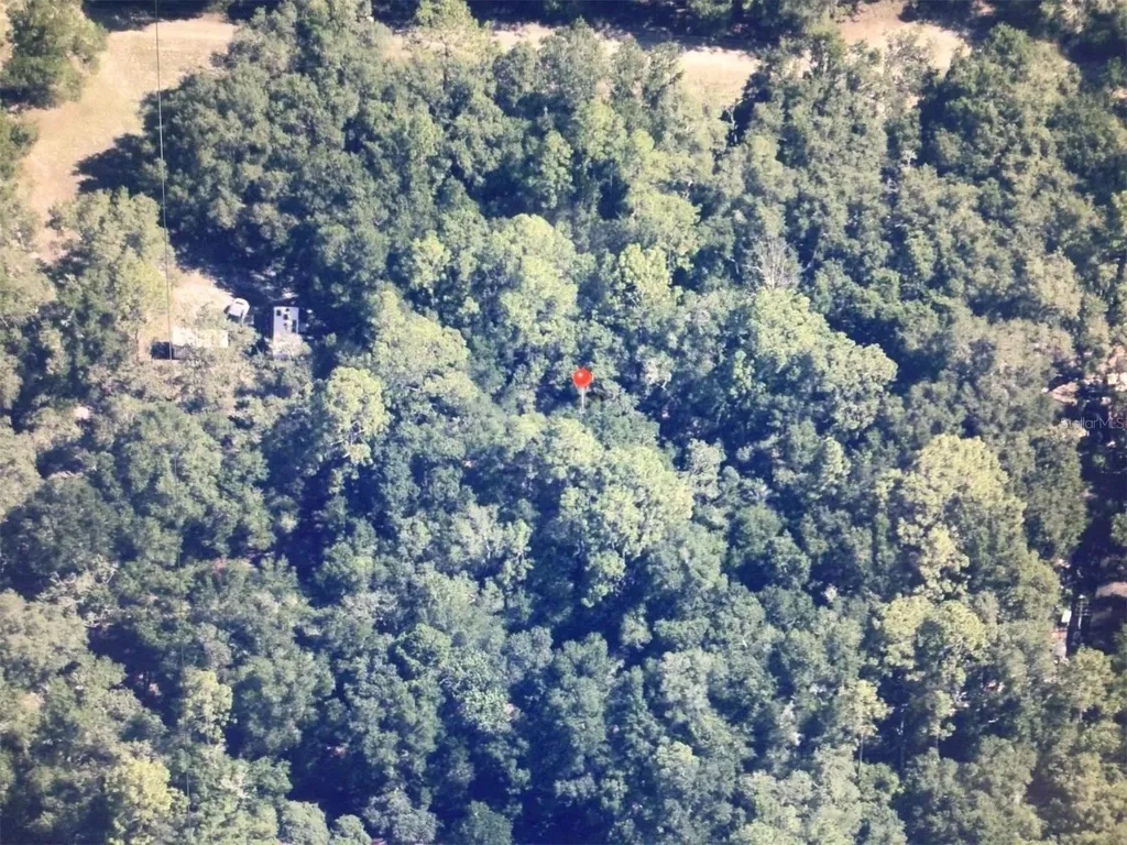 0 SW 158 Lane Dunnellon FL 34432