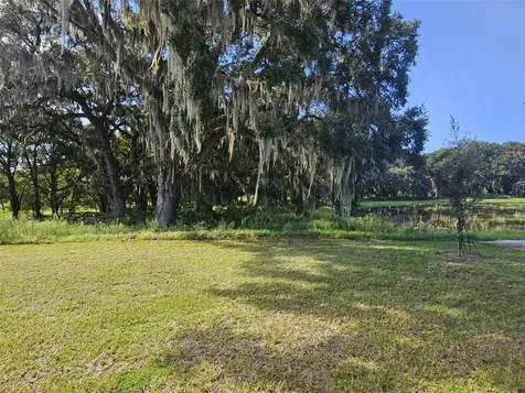 8172 Ives Place Wildwood FL 34785