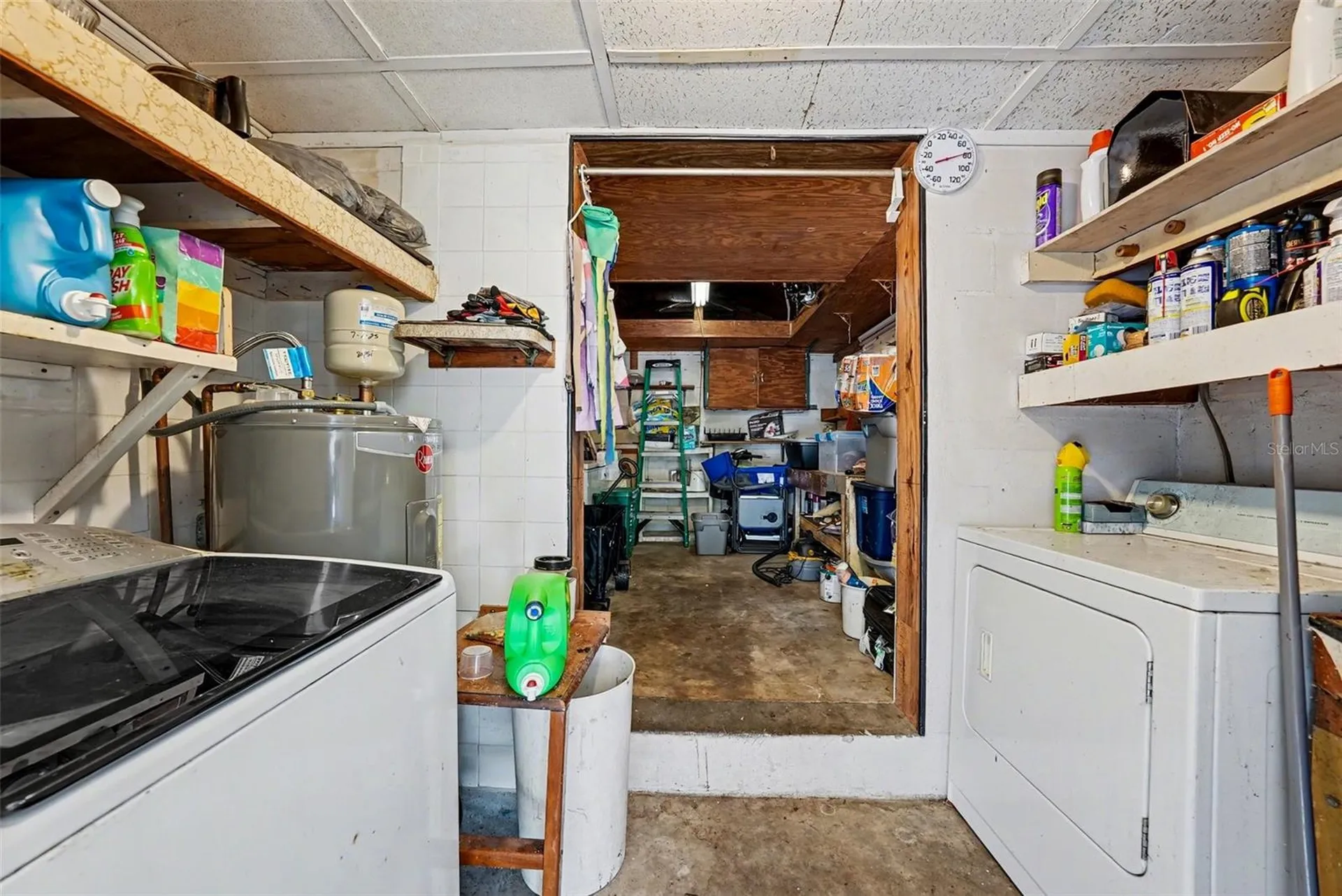 8605 Tupelo Drive Tampa FL 33637