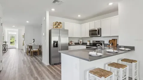 32329 Evening Grove Court Wesley Chapel FL 33543