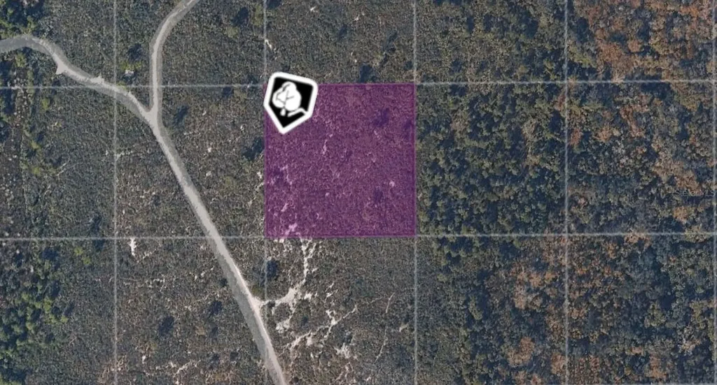 Tbd County Road Oak Hill FL 32759