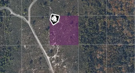 Tbd County Road Oak Hill FL 32759