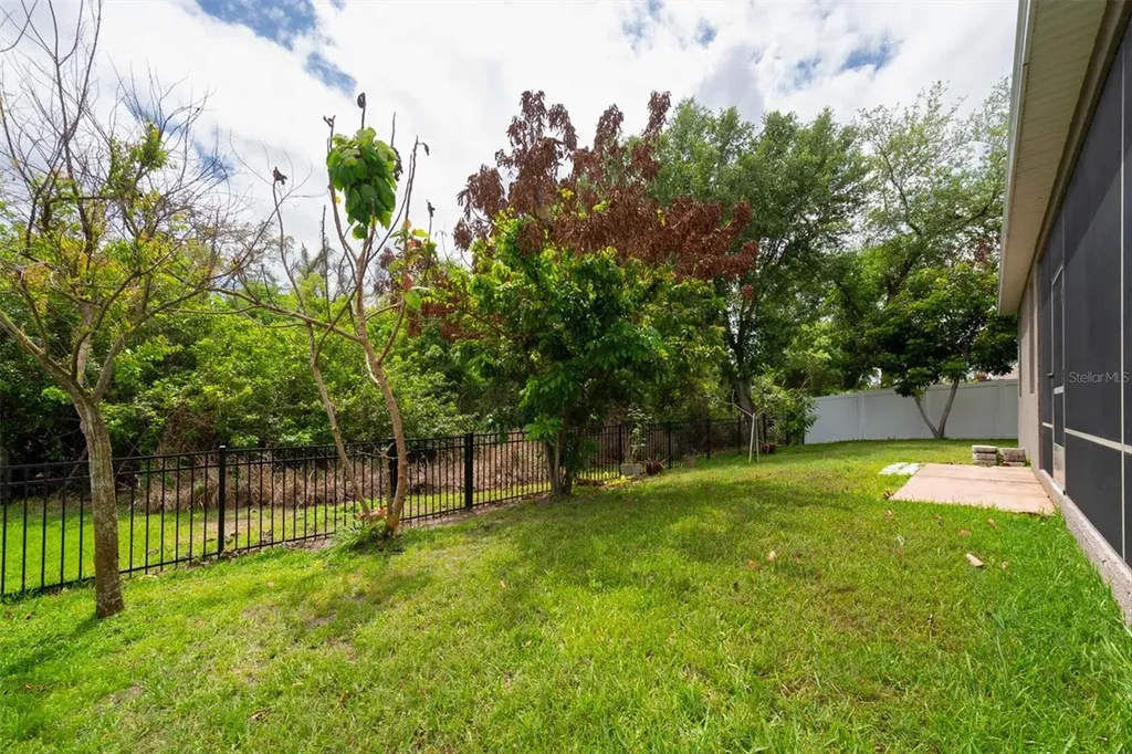 10133 Caraway Spice Avenue Riverview FL 33578