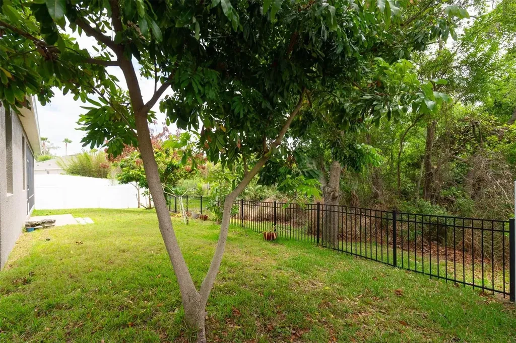 10133 Caraway Spice Avenue Riverview FL 33578
