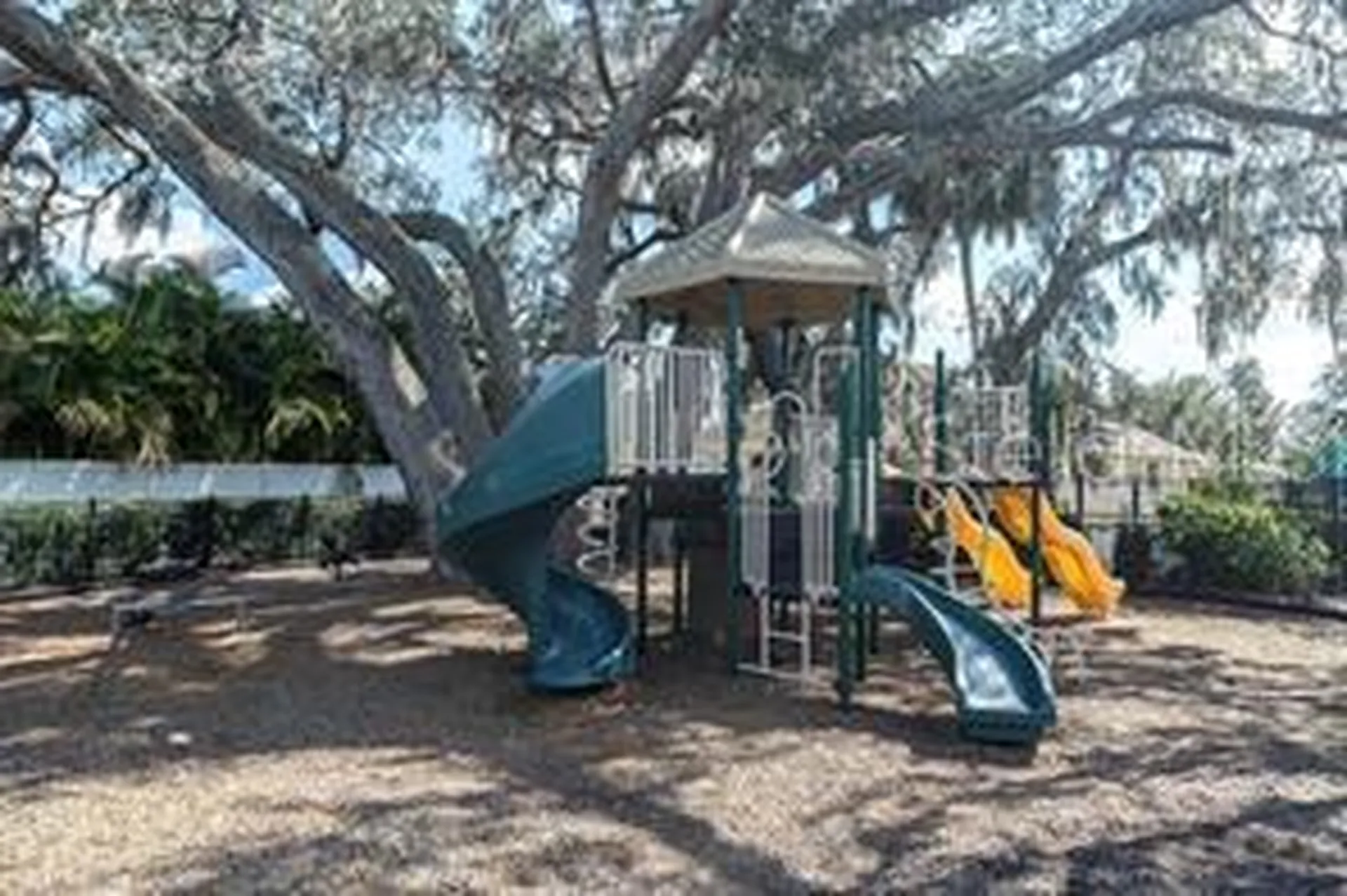 10133 Caraway Spice Avenue Riverview FL 33578